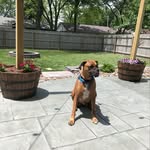 Logan Overton - @loganoverton_ - Instagram