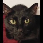Logan Parson - @parson.logan - Instagram