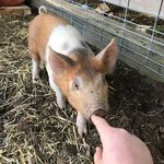 Logan Parson - @_loganp_77 - Instagram