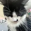 LP - @logan.parsons6 - TikTok