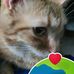 Logan Paske - Facebook