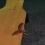 Logan perkins - @logan__perkins_ - Instagram