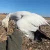 Logan Porter - @loganporter166 - TikTok