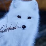 Logan Potts - @xxkite_of_furyxx - Instagram
