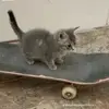 Logan Pratt - @logan.pratt5 - TikTok