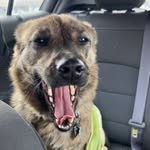 Logan Pryor - @loganhazfood - Instagram