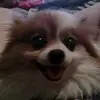 loganpryor5 - @loganpryor5 - TikTok