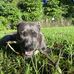 Logan Rader - Facebook