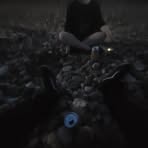 Logan Rainey - Facebook