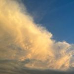 Logan Rector - @loganrector08 - Instagram