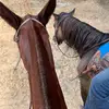 Logan reece - @logan.reece55 - TikTok