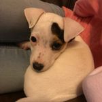 Logan Reeves - @logan_reeves06 - Instagram