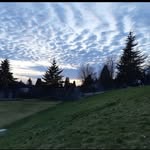 logan renwick - @_logan_renwick_ - Instagram