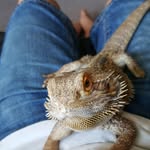 Logan renwick - @renwick.logan - Instagram