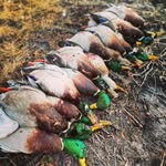 Logan Richmond - @heartlandharvestoutdoors - Instagram