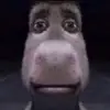 logan - @notloganrivers - TikTok