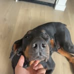 Logan Rodden - Facebook