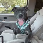 Logan Roddenberry - @logan_roddenberry2951 - Instagram