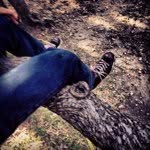 Logan Sager - @bladewait - Instagram