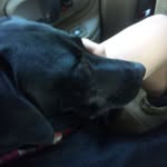 Logan Sager - @logan_sager22 - Instagram