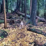Sandy Logan - @sandylogan954 - Instagram