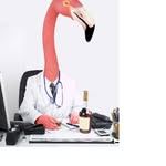 Dr FLAMING0 - @loganschellenberg - Instagram