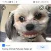 Logan Schofield573 - @potato_mann69 - TikTok