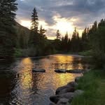Logan Schofield - @loganscofield - Instagram
