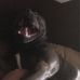 Logan Schofield - Facebook