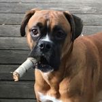 Logan Schrock - @logan_s0821 - Instagram
