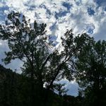 logan schroeder - @logos.spam - Instagram