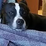 Linda Logan Schubert - @lindaloganschubert - Instagram