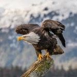 Logan Sellers - @logan_sellers69 - Instagram