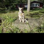 Logan Shepard - Facebook