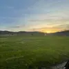 loganboi - @loganshirkey2979 - TikTok