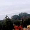 logan simon - @logan.simon71 - TikTok