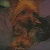 Logan Sisk - Facebook