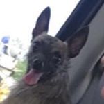 Logan Small - @logansmall26 - Instagram