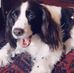 Logan Small - Facebook