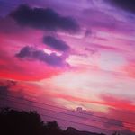 Logan Snell - @mydragon05 - Instagram