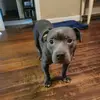 Logan Solomon - @logan.solomon8 - TikTok