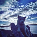 logan stacey - @loganstacey31 - Instagram