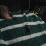 fuck your bitch - @logan_stackedup_henderson - Instagram