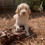 Logan Stapleton - @stapleton.logan - Instagram
