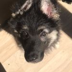 Logan Stapleton - @logan_stapleton2020 - Instagram