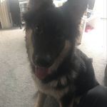 Logan Stapleton - @logan_stapleton_2007 - Instagram