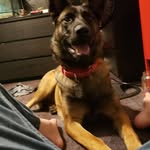 logan starnes - @logan1117474 - Instagram