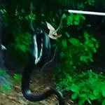 Logan Starnes - @extra_xpz - Instagram