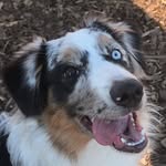 Logan/Sterling - @loganandsterling - Instagram