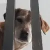 loganstickney352 - @loganstickney352 - TikTok